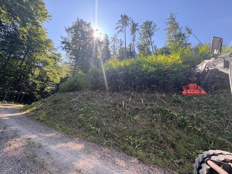 Pöllhuber [object Object]